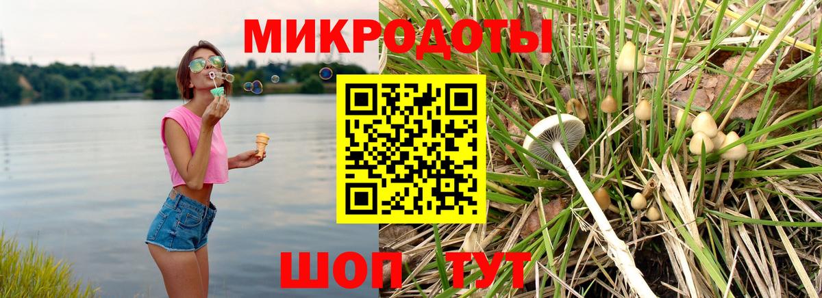 Псилоцибиновые грибы Cubensis Кировск